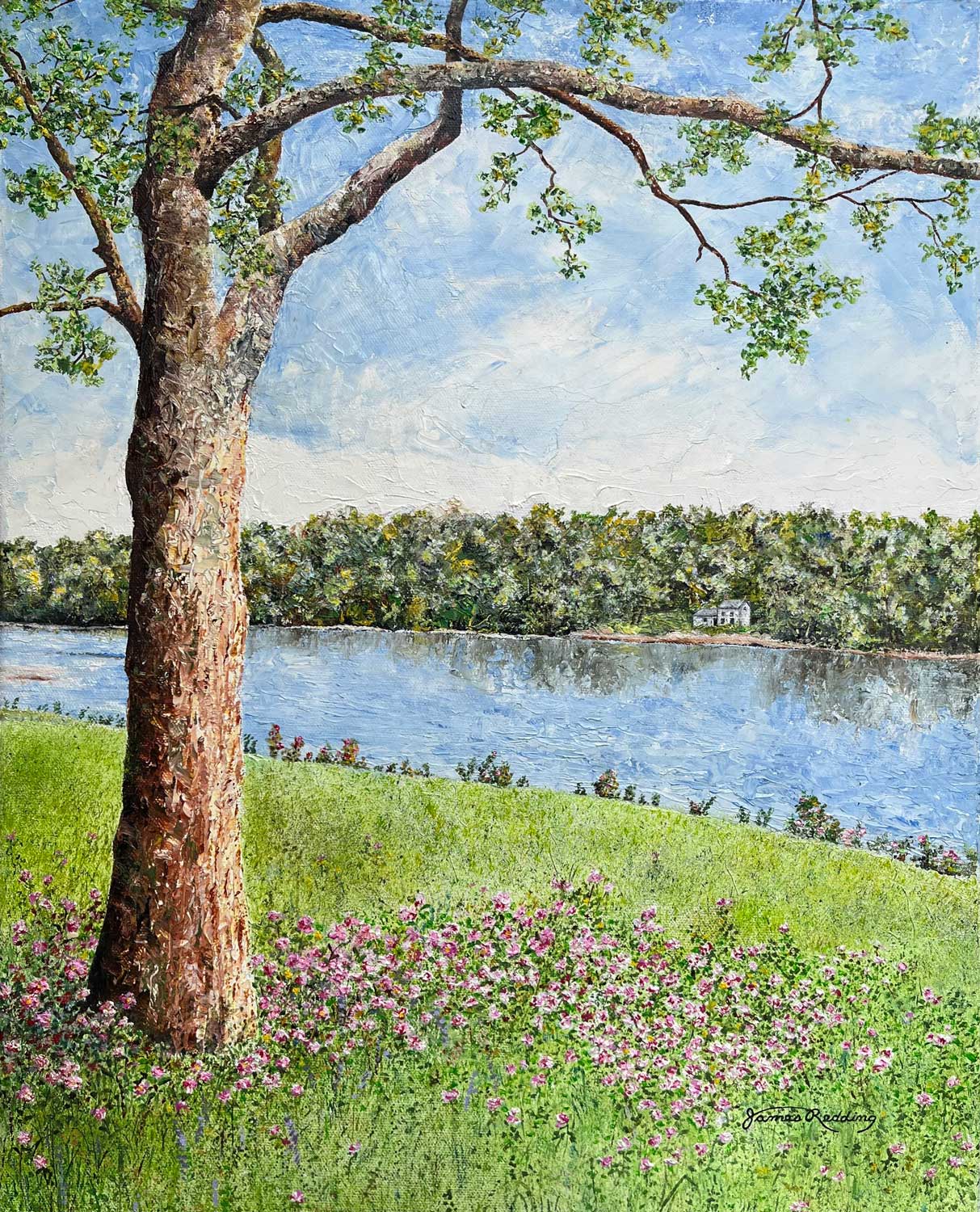 Along the Riverbank