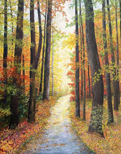 A Peaceful Autumn Stroll