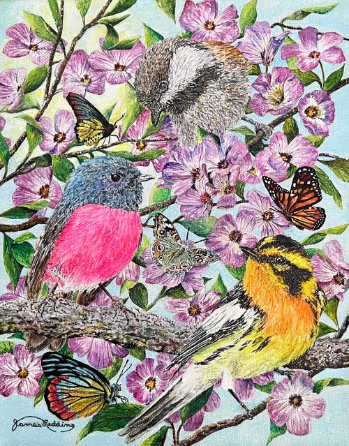 Birds of a Feather