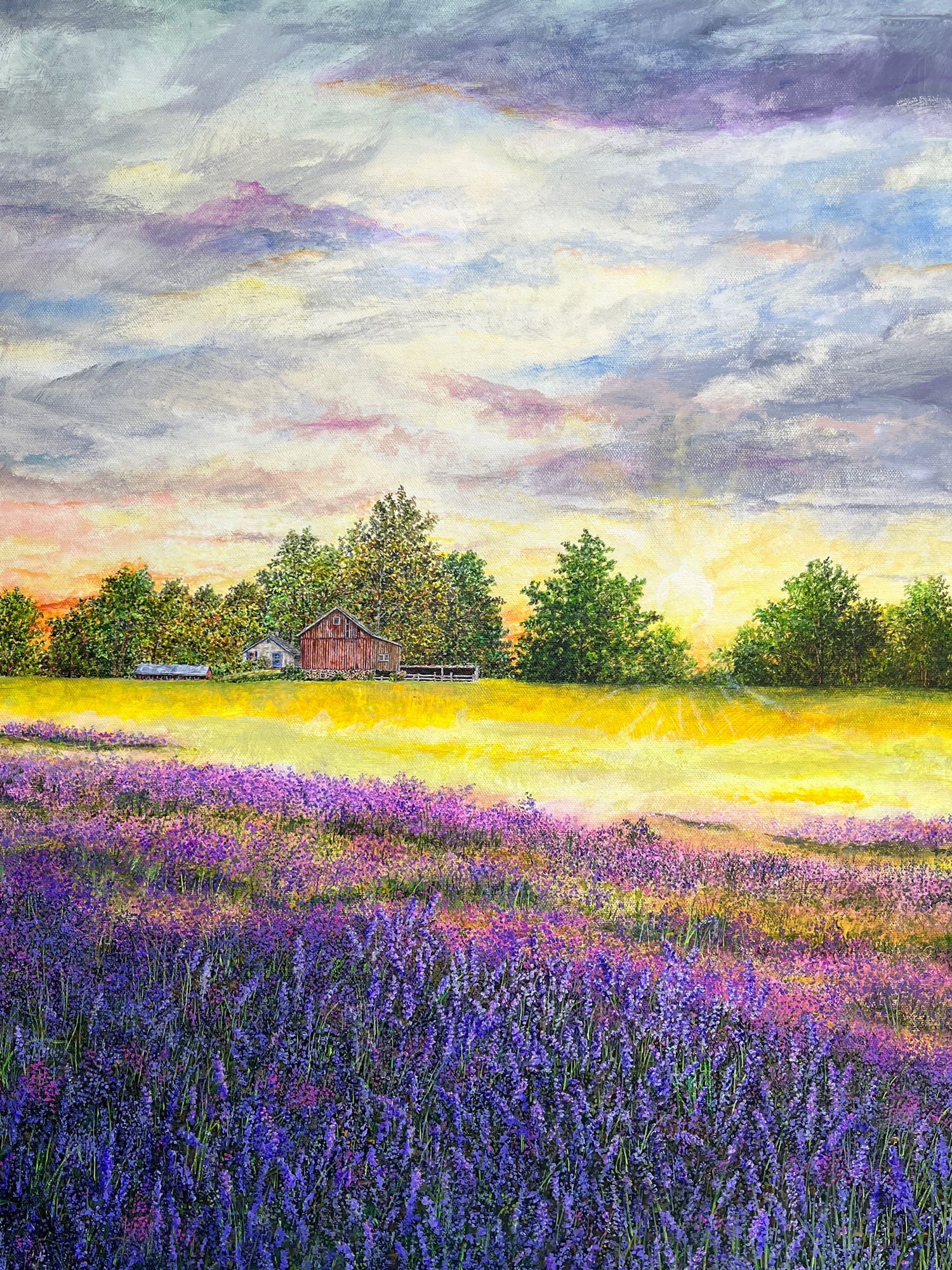 lavender-sunset