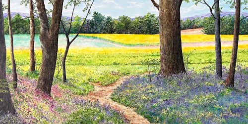 Bluebells